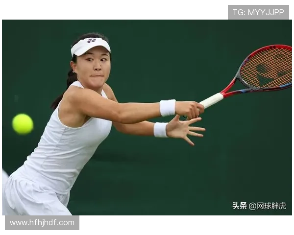 网球赛季回顾与展望：新星崛起与老将挑战再掀热潮